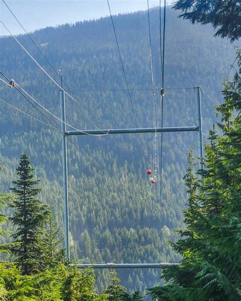 5 BEST Ziplining Tours in Whistler + Pros and Cons of Each Tour