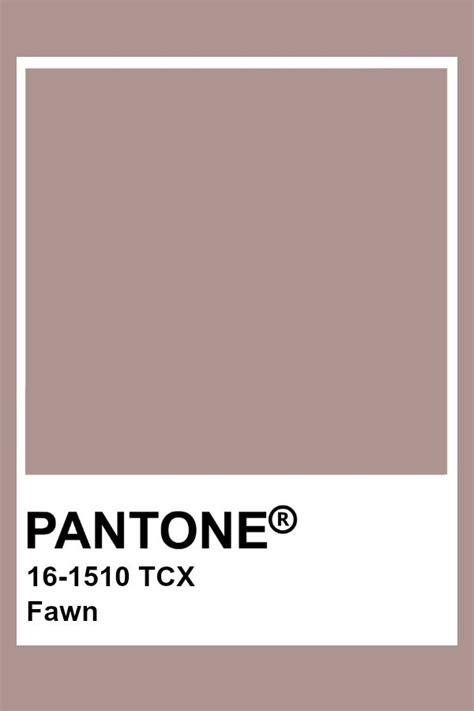 Burgundy Pantone Color Pantone Kleurenschemas Kleurenpaletten | Images and Photos finder