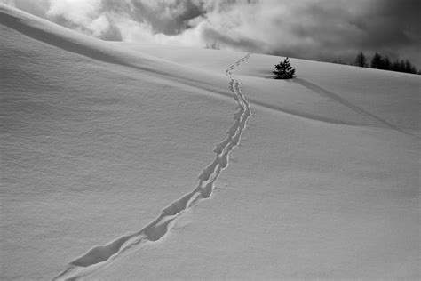 Footprints in the snow on Behance