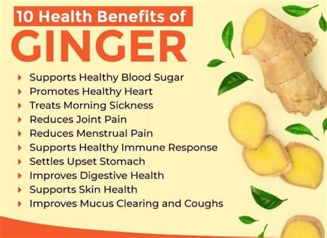 Bulk Ginger Powder - manufacturer - undersun