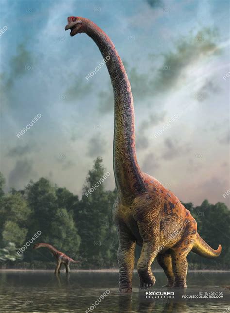 Illustration of giraffatitan dinosaur mother and infant. — art, nature - Stock Photo | #187562150