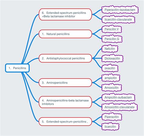 Antibiotics Classification According To Spectrum