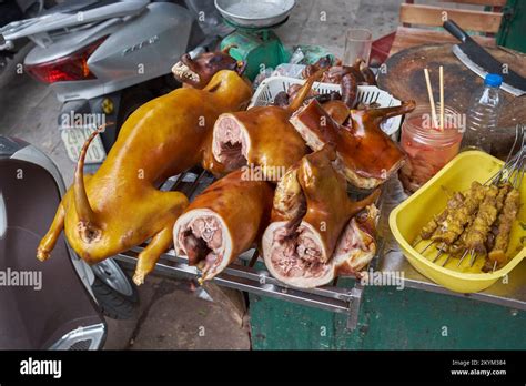 Dog meat restaurant Hanoi Vietnam Stock Photo - Alamy