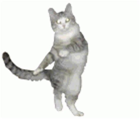 Dancing Kitty Sticker - Dancing Kitty Dance