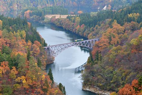 Aki-citing autumn train rides: 4 magical train rides to enjoy autumn views in Japan | JR Times