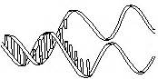 Frequently Asked Questions about Principles of Genetics, Genetics ...