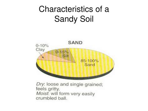 PPT - All About Soil PowerPoint Presentation, free download - ID:6098568