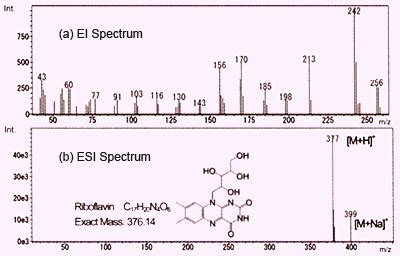 Analysis results of LC-MS : SHIMADZU (Shimadzu Corporation)