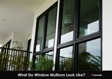 What are Window Mullions?