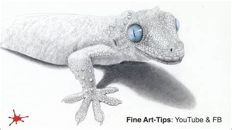 How To Draw A Gecko Head