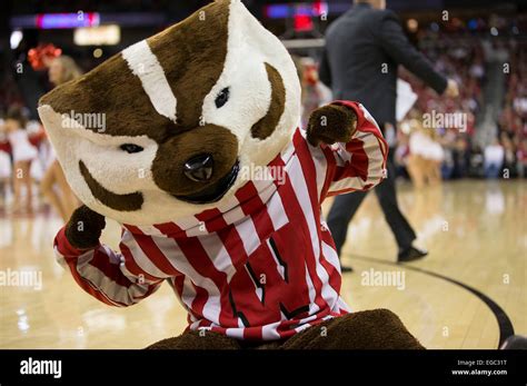 February 21, 2015: Wisconsin Badgers mascot entertains the crowd during ...