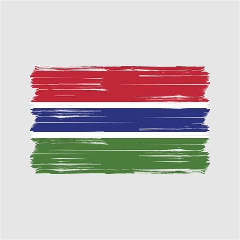 Gambia Flag Brush. National Flag 11510197 Vector Art at Vecteezy