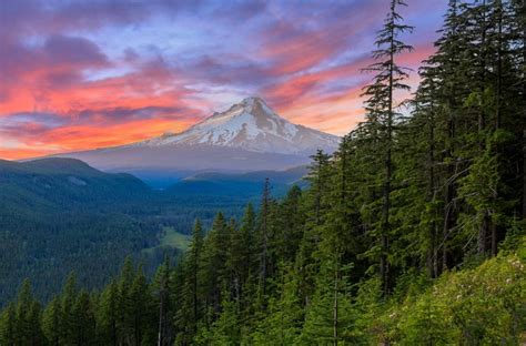 Mt. Hood Scenic Byway is an Oregon Adventure | KOA Camping Blog