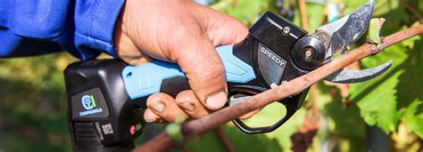 The Best Electric Pruning Shears - Purchasing Guide | AgriEuro Blog