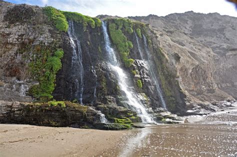 Point Reyes National Seashore Hiking Tour | Timberline Adventures