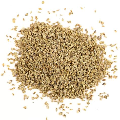 Ajwain, Ajowan, Carom (Whole Seed) | Certified Organic – Gneiss Spice