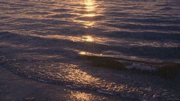 Waves GIFs - Find & Share on GIPHY