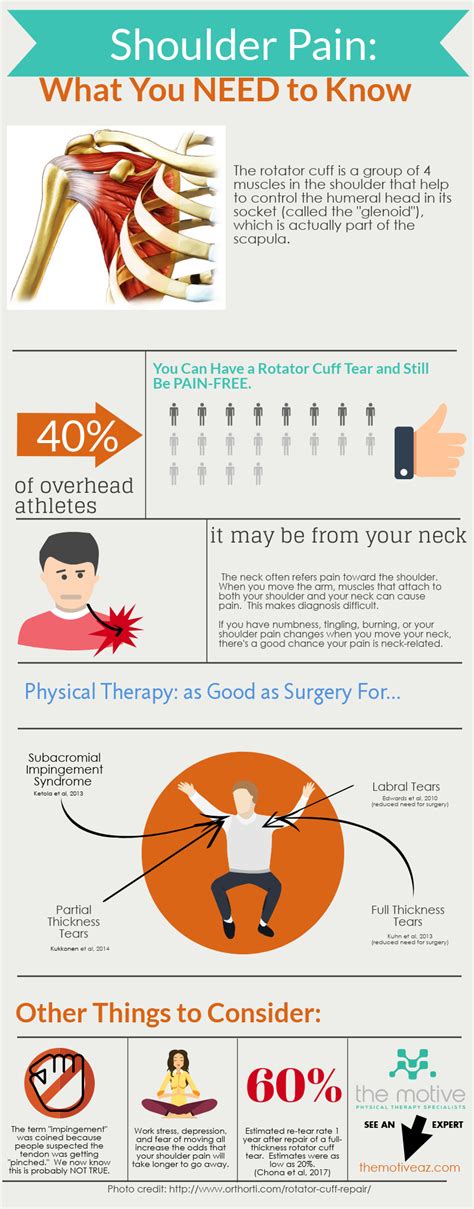 What Everyone Should Know About Shoulder Pain - The Motive Physical ...