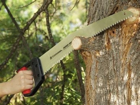 Best Pruning Saw Reviews For Tree Care 2017 - 2018