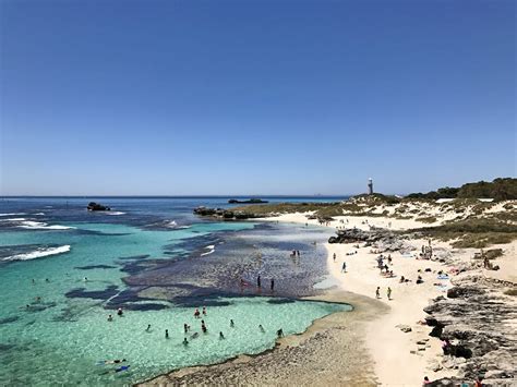 How to Plan a Perfect Day Trip to Rottnest Island in Australia | Yoga, Wine & Travel