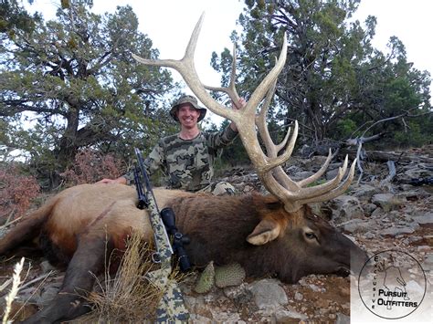 Arizona Guided Trophy Elk Hunts – Exclusive Pursuit Outfitters, LLC