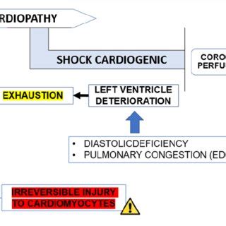 Pathophysiology of cardiogenic shock | Download Scientific Diagram