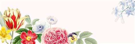 Blank floral banner design vector | free image by rawpixel.com / Minty | Banner design, Floral ...