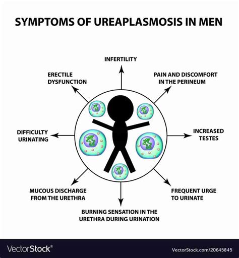 Ureaplasma Overview, Symptoms, Diagnosis & Treatment - RUClear