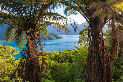 How to visit Zealandia, the lost eighth continent of the world - Lonely Planet