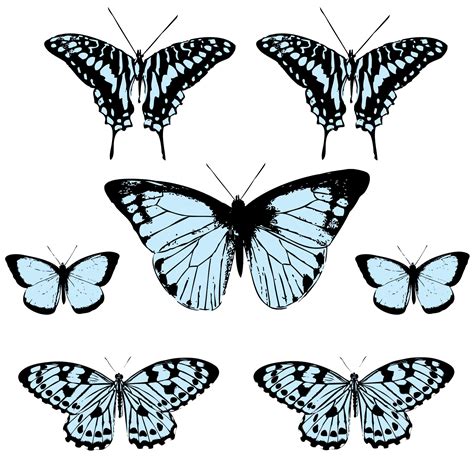 Butterfly Clipart Free Stock Photo - Public Domain Pictures