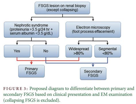 Edgar V. Lerma 🇵🇭 on Twitter: "@M_Elraggal Differentiating Primary, Genetic, and Secondary FSGS ...