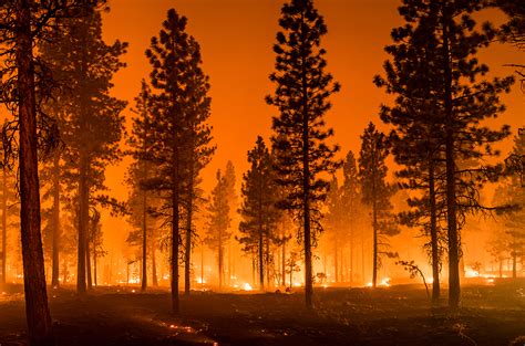 Western states are looking to Florida for wildfire prevention