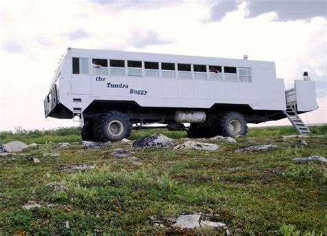 The Tundra Buggy Adventure - Day Tours - Churchill, Manitoba ...