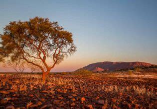 Outback Western Australia Guide