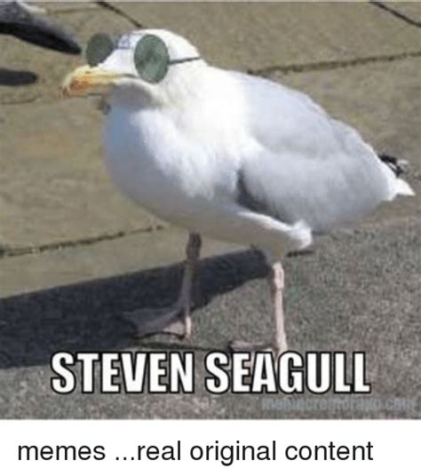 seagull memes | Memes, Seagull, Funny