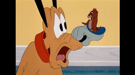 Pluto Gallery | Disney Mickey