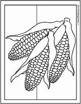 Corn On The Cob Coloring Sheet Sketch Page sketch template