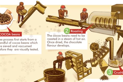 13 Stages of Chocolate Production