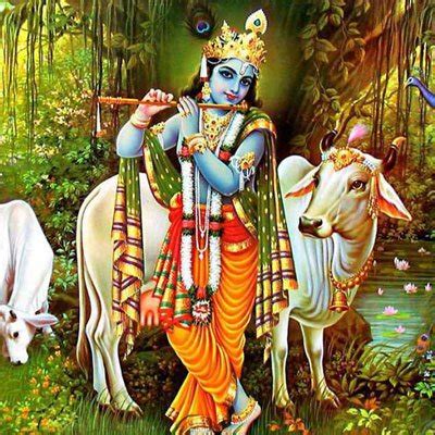 Go Puja (cow) online booking in India l Online Temple