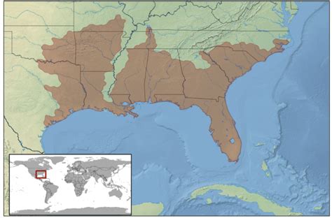 pygmy rattlesnake range map - Bird Watching HQ