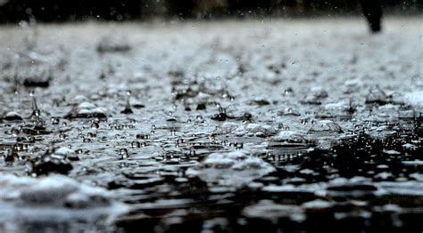 Weekly Photography Assignment: Rain - Nature TTL