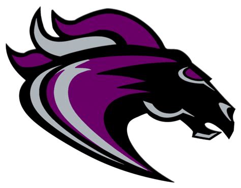 PalmettoPreps - Ridge View High School Football Schedule and Team Info