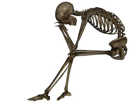 Skeleton PNG image