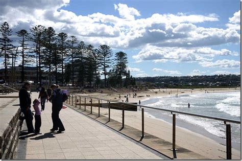 Bushwalk and breakfast at Dee Why beach | ChopinandMysaucepan