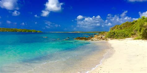 A Guide to Vieques and Culebra: Puerto Rico's Lush Outer Islands