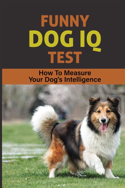 Funny Dog IQ Test: How To Measure Your Dog's Intelligence: Signs Your ...