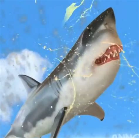 Shark (Season 5) | Annoying Orange Wiki | FANDOM powered by Wikia