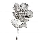 Waterford Crystal Fleurology Rose | Crystal Classics
