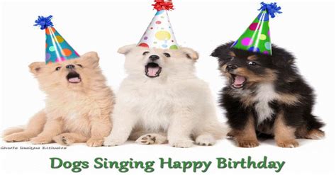 three dogs wearing party hats and singing happy birthday to you