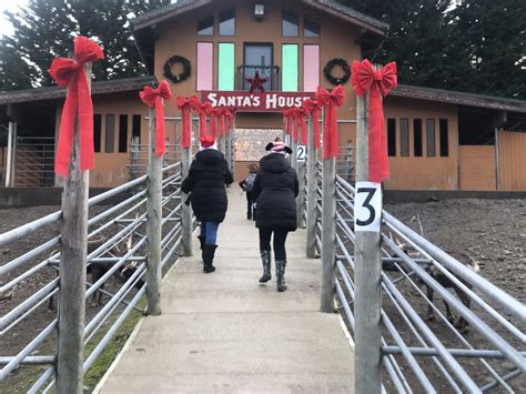 Reindeer Festival at Cougar Mountain Zoo - Visit Issaquah